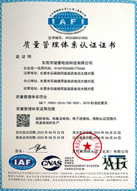 w66电线ISO质量治理系统证书