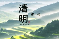 公司新闻-w66